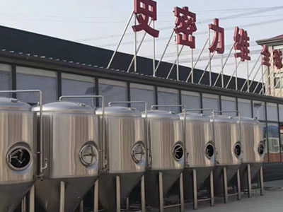 两当精酿啤酒设备厂—如何判断精酿啤酒设备的密封件需要更换？